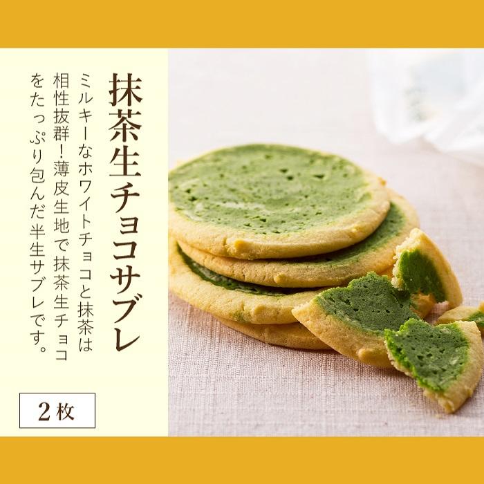 雅正庵 お試し 静岡 抹茶 人気 スイーツ 6種 9個 詰め合わせ 長沢