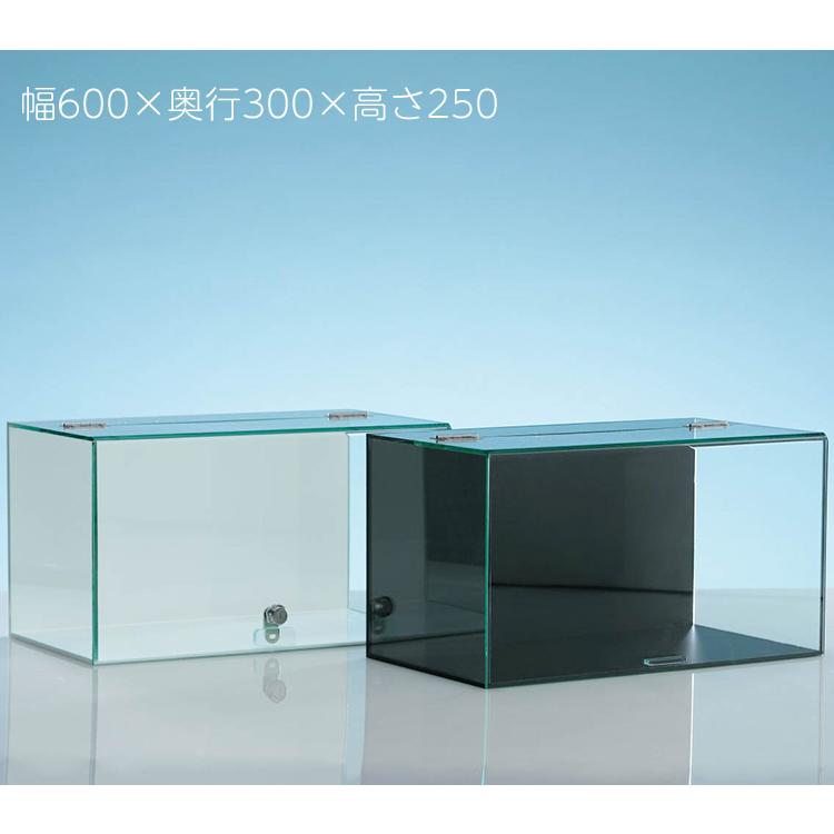 人気満点 【No.632カギなし】アクリル ウイング式 コレクションケース幅600x奥行300x高さ250(mm) 背面用ミラー付 フィギュアケース 背板·底板カラー:ツヤ消し黒 - www.collectiviteslocales.fr 人気満点 【No.632カギなし】アクリル ウイング式 コレクションケース幅600x奥行300x高さ250(mm) 背面用ミラー付 フィギュアケース 背板·底板カラー:ツヤ消し黒 - www.collectiviteslocales.fr
