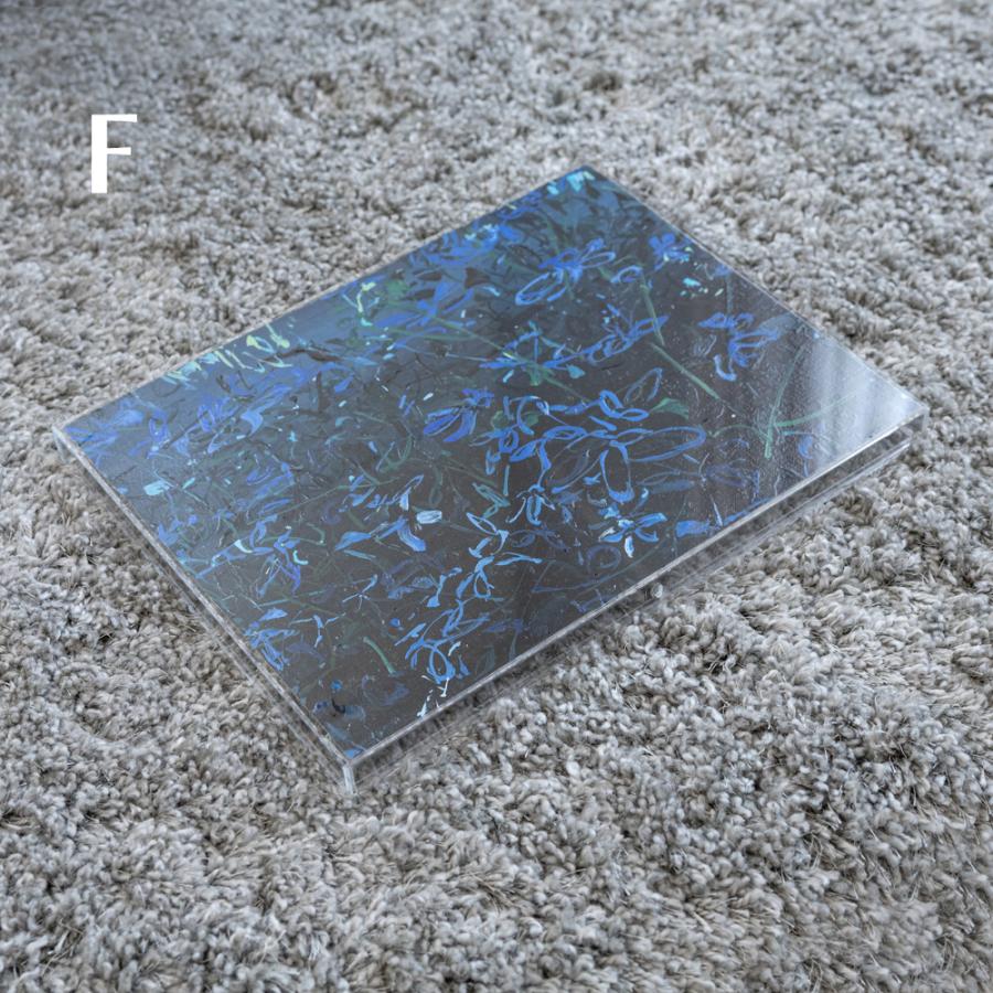 フレームレス アクリルピクチャーカバー 絵画用6号 M/P/Fサイズ