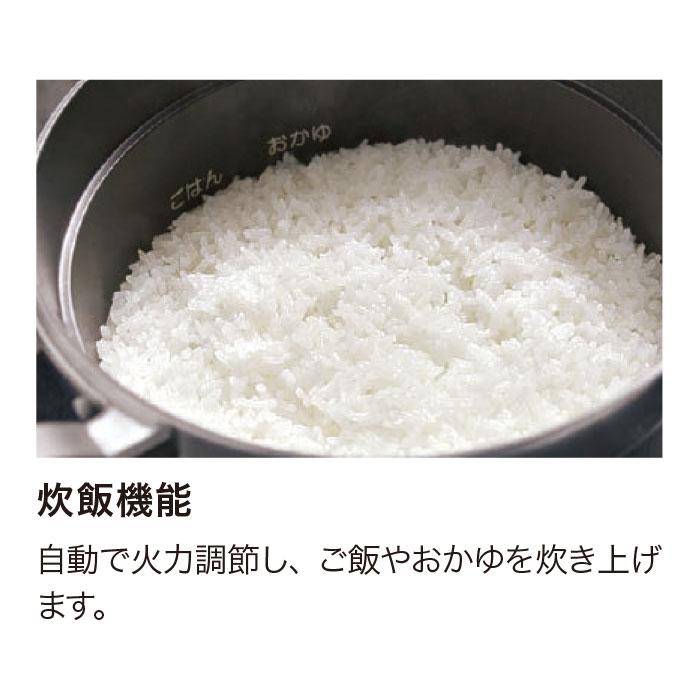 ノーリツ（NORITZ） N3WS9KJTKSTED ガスビルトインコンロ 天板幅75cm +
