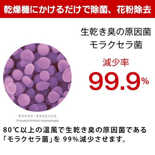 リンナイ（Rinnai） RDT-93NTU 衣類乾燥機 乾太くん デラックスタイプ