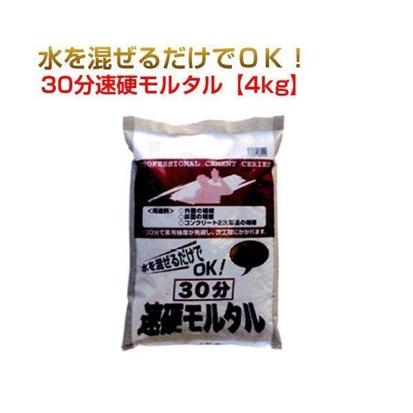 30分速硬モルタル 1ケース（4kg×5袋） マツモト産業 ワークセレクト