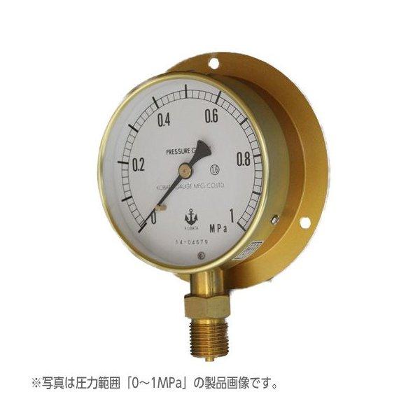 100-b-bs-1-2-100-0-25mpa-kbt0138