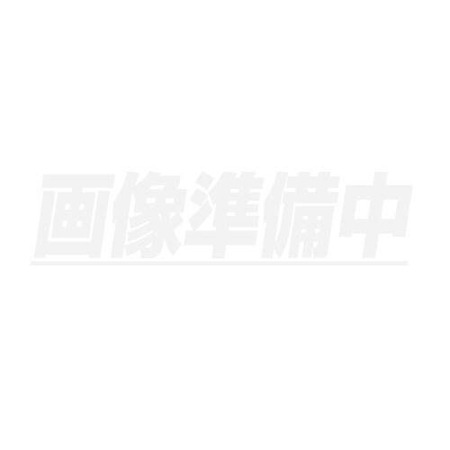 ペイントマーカープロ用 太字 桃／10本入 KPMK-L#20 サクラクレパス｜gaten-ichiba