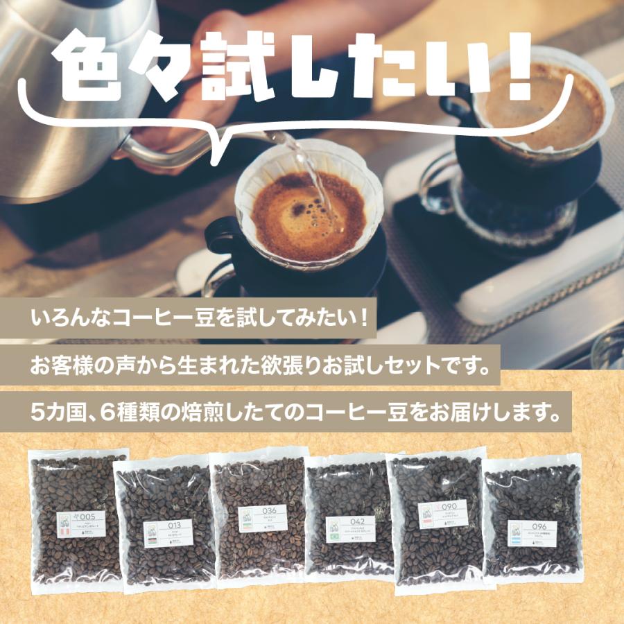 ゲイシャが飲める コーヒー豆 40g×6袋(モカマタリ、カフェインレス