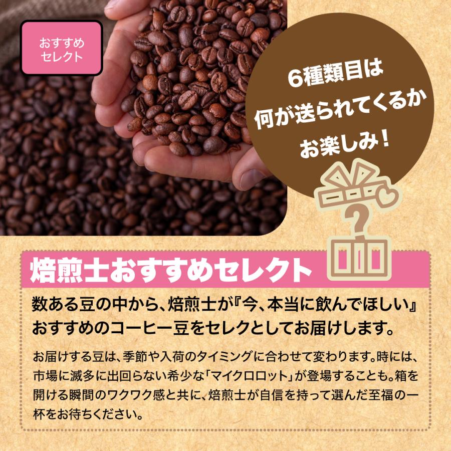 ゲイシャが飲める コーヒー豆 40g×6袋(モカマタリ、カフェインレス
