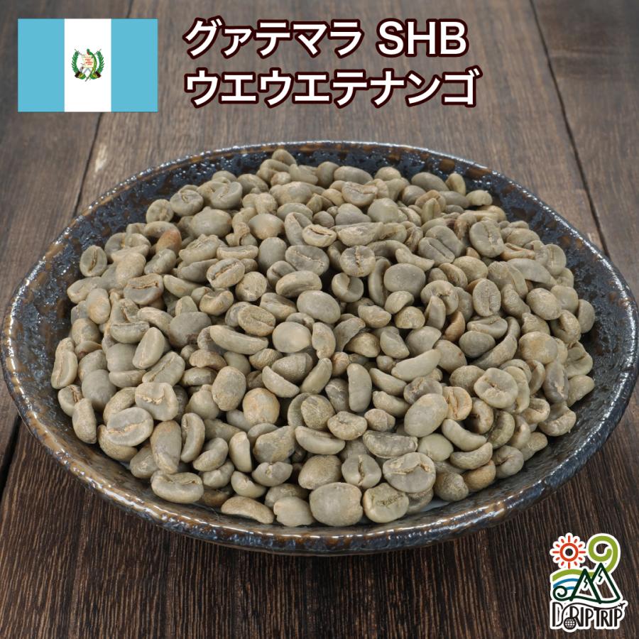 生豆 コーヒー 10kg グァテマラ SHB ウエウエテナンゴ グアテマラ