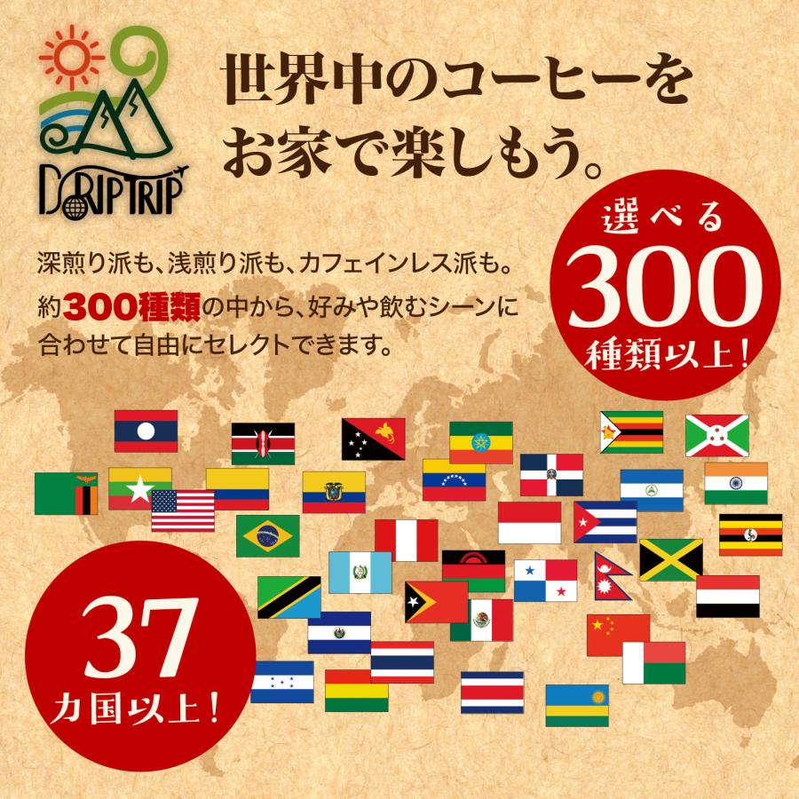 コーヒー 豆 粉 モカ！400g モカ マタリ No9 イエメン #006 DripTrip