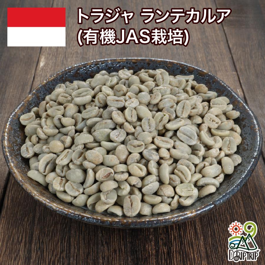 【インドネシア】トラジャ・ランテカルア⑤　コーヒー生豆 １.５kg コーヒー 生豆 トラジャ ランテカルア(有機JAS栽培) インドネシア #007