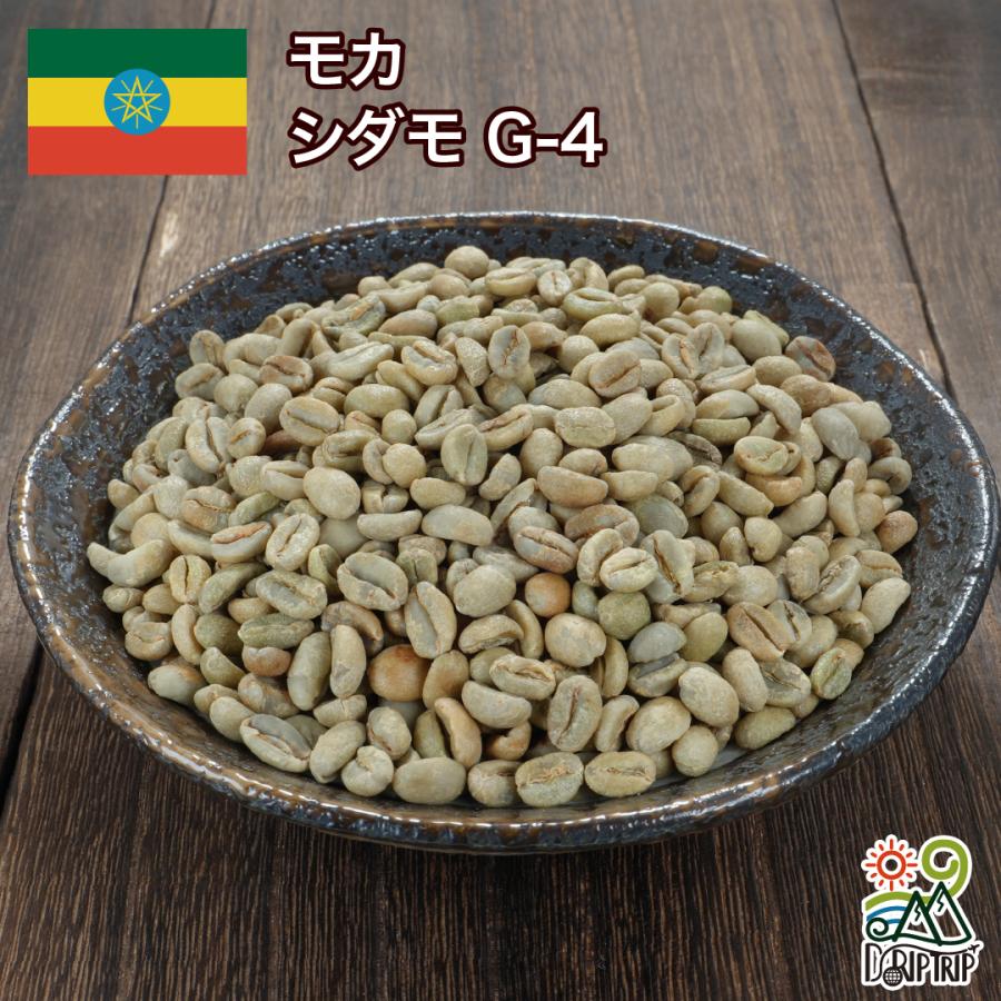 コーヒー 生豆 モカ シダモG-4 エチオピア #012 DripTrip 1kg 2kg 5kg