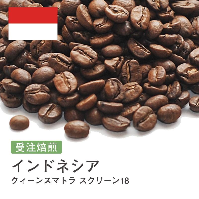 コーヒー 豆 粉 クィーンスマトラ スクリーン18 インドネシア #014