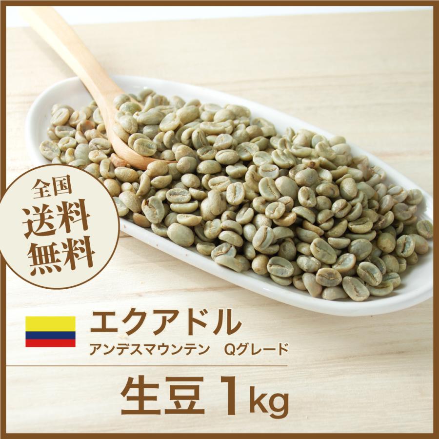 【メタル】【コーヒー生豆】エクアドル　アンデスマウンテン 5kg エクアドル アンデスマウンテン パラモ ウォッシュド（Equador Andes