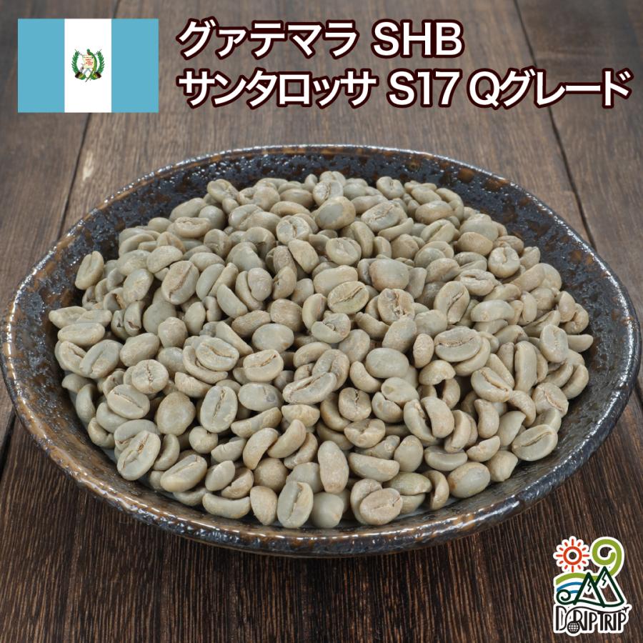 値下【新品】コーヒー豆（生豆）サントスセラード 楽天市場】DRIP TRIP コーヒー 生豆 ブラジル EROS サントス セラード
