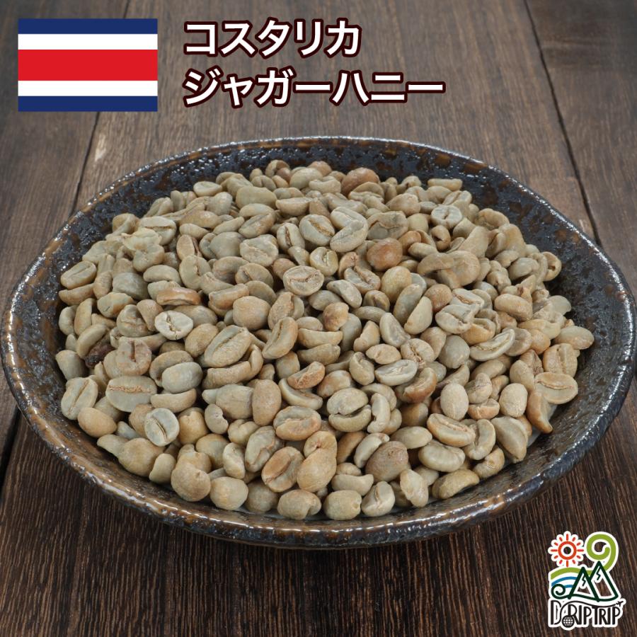 コーヒー 生豆 コスタリカFSHB タラス ジャガーハニー #041 DripTrip
