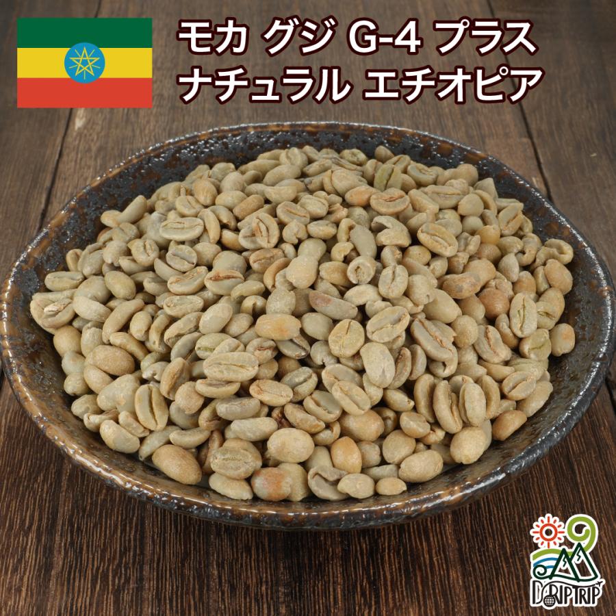 DRIP TRIP 生豆 モカ グジ G-4 プラス ナチュラル エチオピア コーヒー