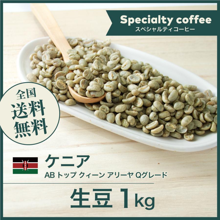 コーヒー 生豆 ケニア AB トップ クィーン アリーヤ Qグレード #066