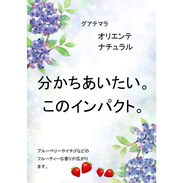 コーヒー 生豆 グアテマラ オリエンテ ナチュラル #067 DripTrip 1kg