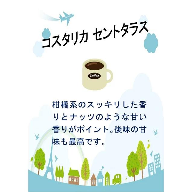 コーヒー 生豆 コスタリカ セントタラス SHB ガンボア農園 #071
