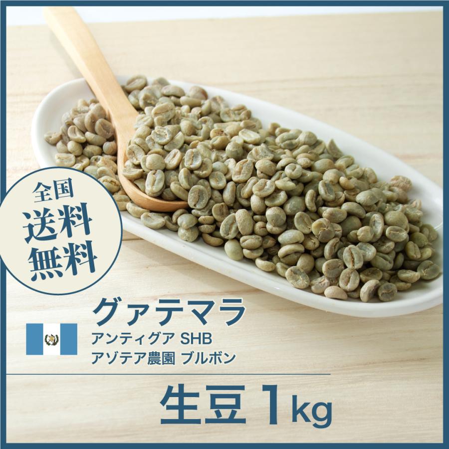 グアテマラ グリーンコーヒー生豆 10㎏