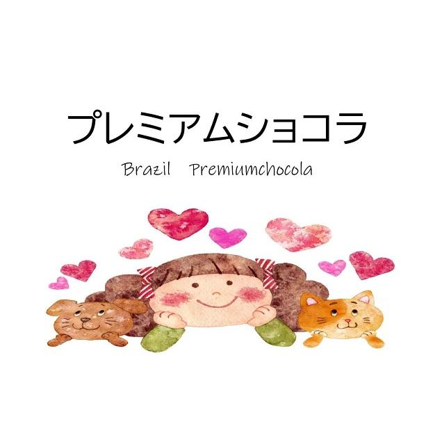 コーヒー 生豆 ブラジル サントアントニオ プレミアムショコラ #074