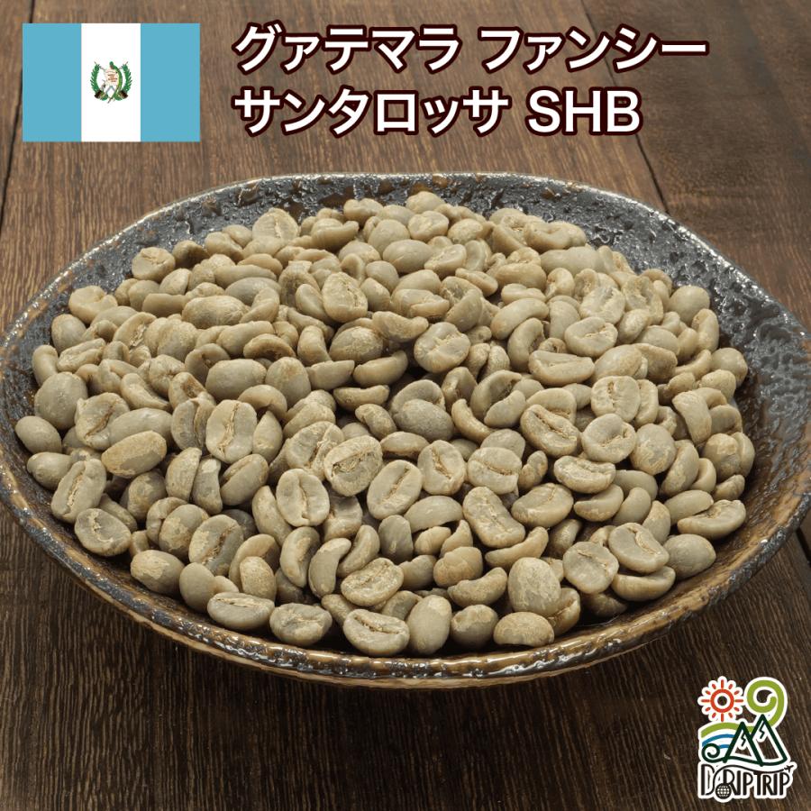 グアテマラ グリーンコーヒー生豆 10㎏ グアテマラ グリーンコーヒー生豆 10㎏