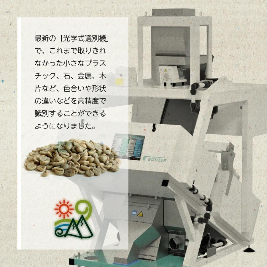 コーヒー 生豆 マンデリン インドネシア G-1 #090 DripTrip 1kg 2kg