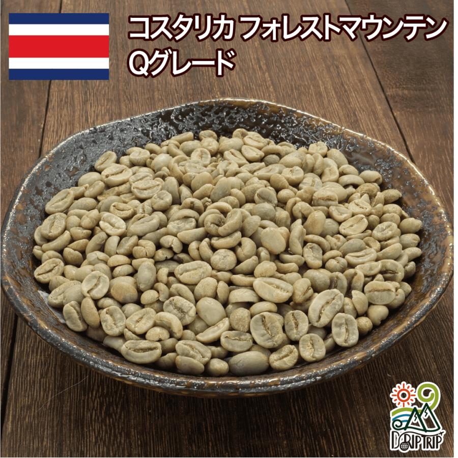 【みなっきー】【新品】コーヒー豆（生豆）コスタリカ コーヒー 生豆 コスタリカ フォレストマウンテン Qグレード #093
