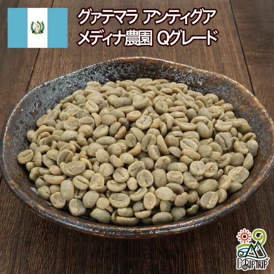 コーヒー 生豆 グァテマラ アンティグア メディナ農園 Qグレード #105
