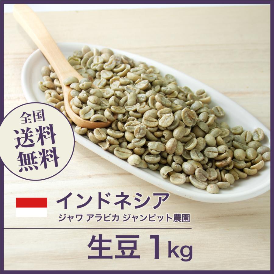 DRIP TRIP 生豆 ジャワ アラビカ ジャンピット農園 インドネシア