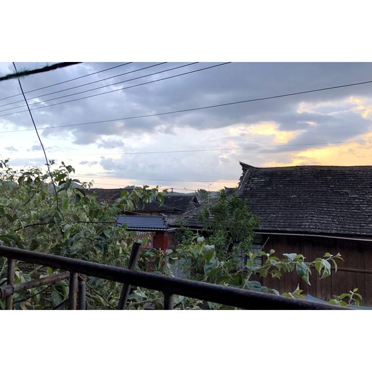 【生豆】雲南 YOKO農園AAA級1000gカティモール濃厚保山小粒 手煎れ対応 コーヒー 生豆 雲南 天空農園 ナチュラル ダブルファーメンテーション