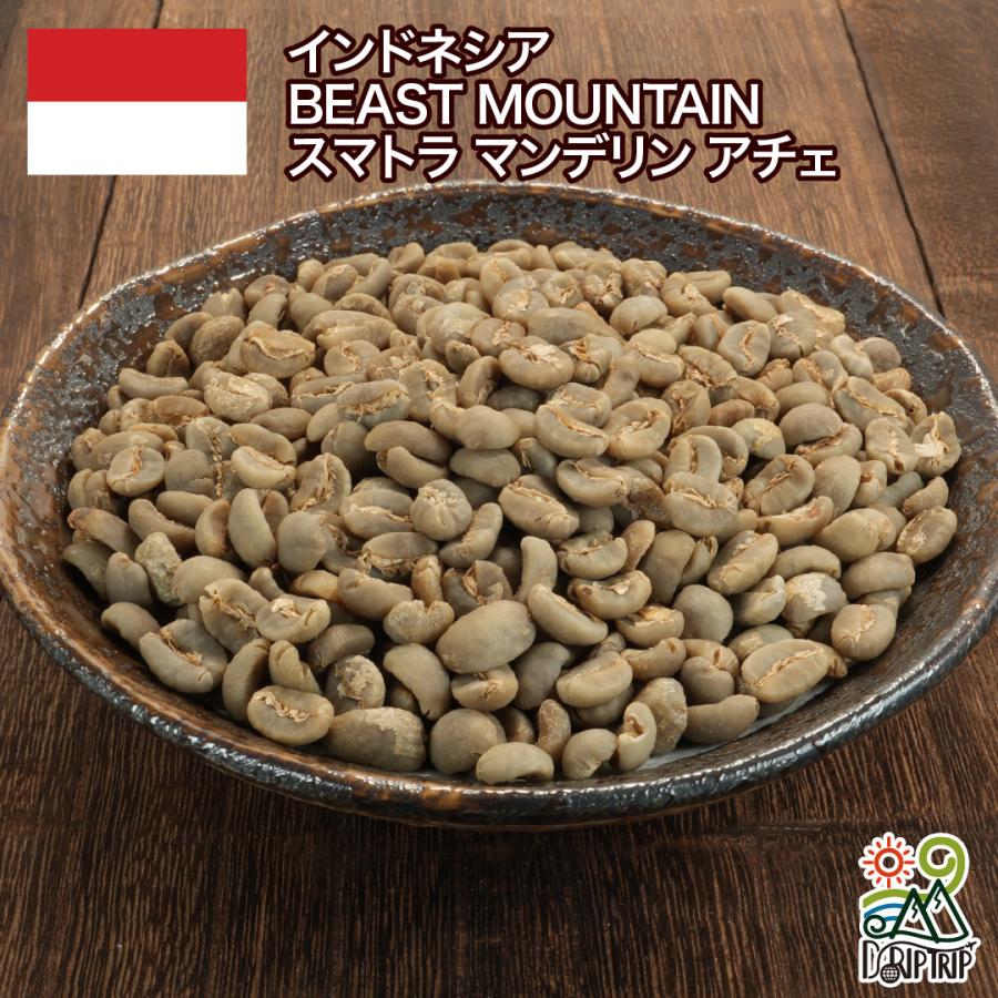 コーヒー 生豆 インドネシア BEAST MOUNTAIN スマトラ マンデリン