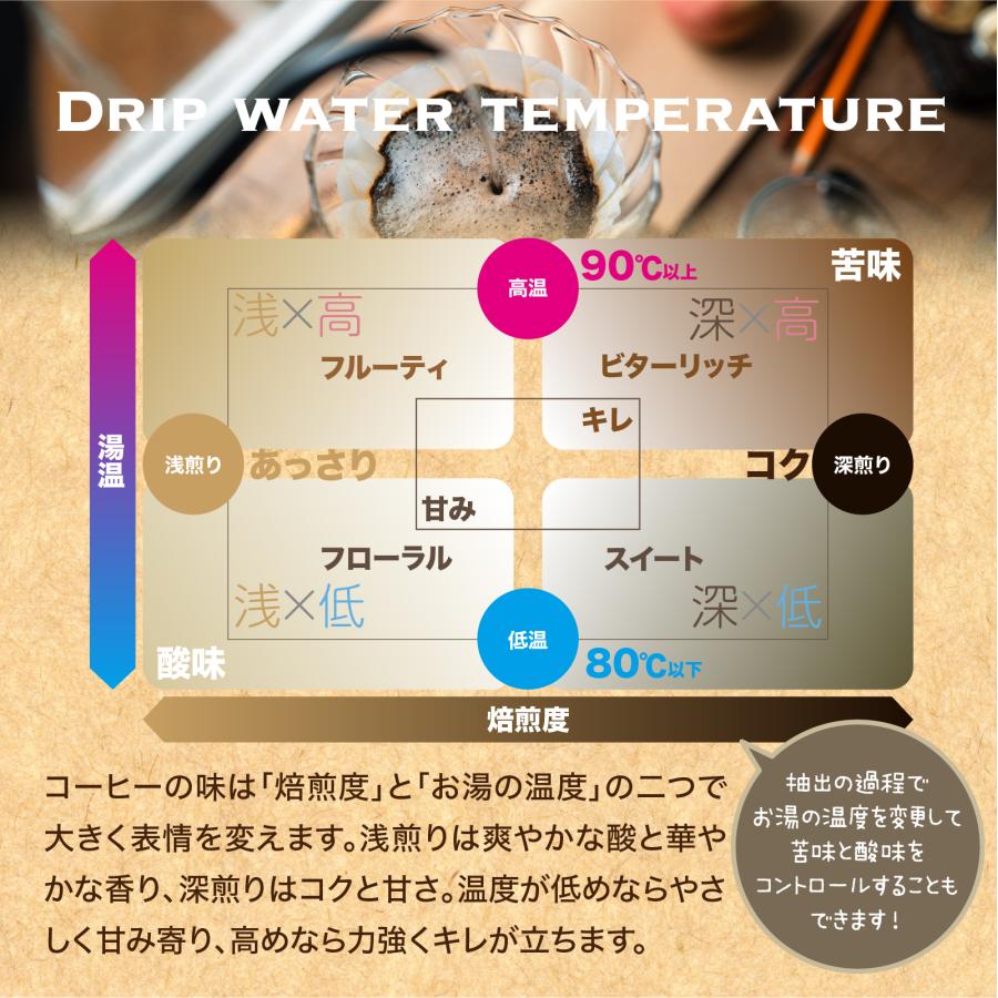 コーヒー 生豆 エチオピア モカ イルガチェフェG1 コチャレ 7Days