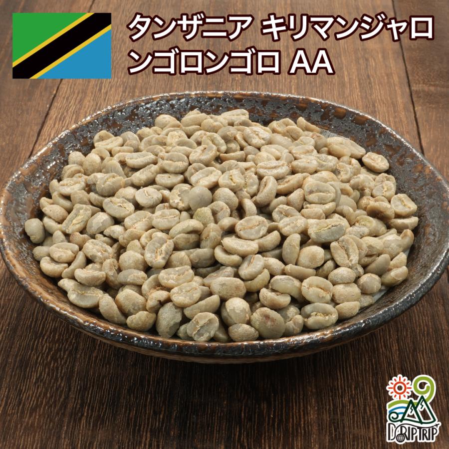 コーヒー 生豆 キリマンジャロ ンゴロンゴロ AA #147 DripTrip 1kg 2kg