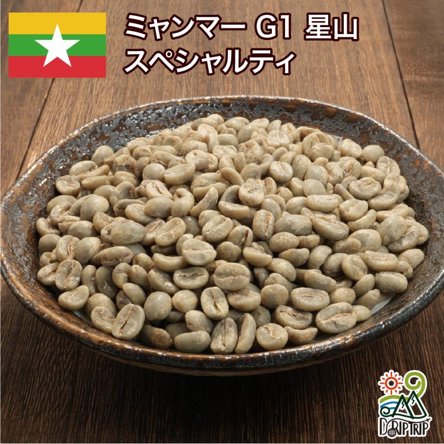 コーヒー 生豆 ミャンマー G1 星山 スペシャルティ #150 DripTrip 1kg