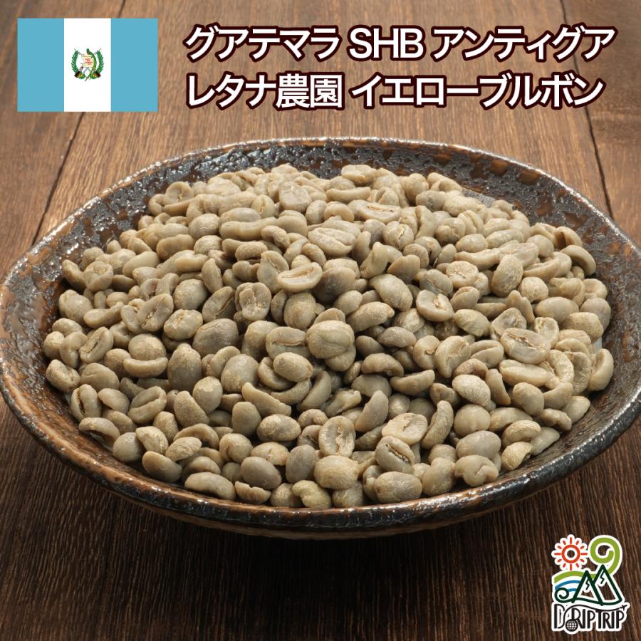 コーヒー 生豆 グアテマラ SHB アンティグア レタナ農園 イエロー