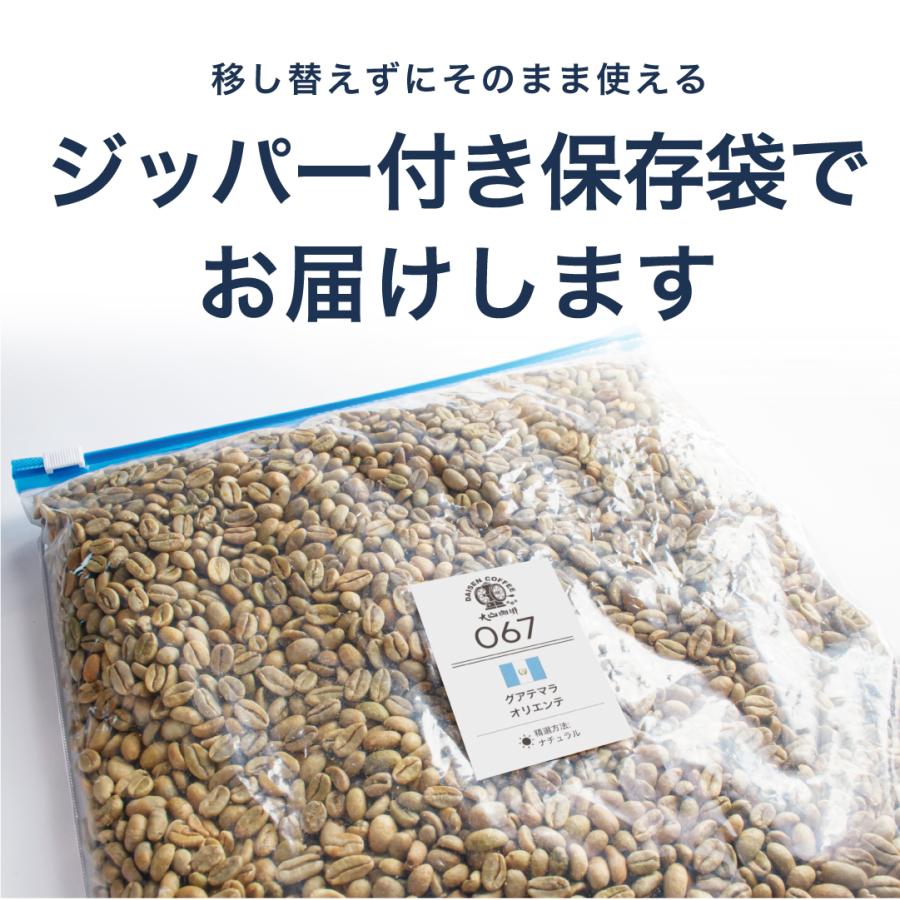 コーヒー 生豆 タイ ドイパンコン ナチュラル #165 DripTrip 1kg 2kg