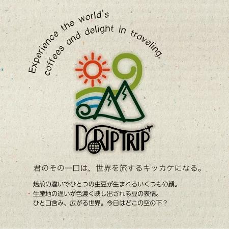 コーヒー 生豆 ベトナム ロブスタG1 #175 DripTrip 1kg 2kg 5kg 10kg