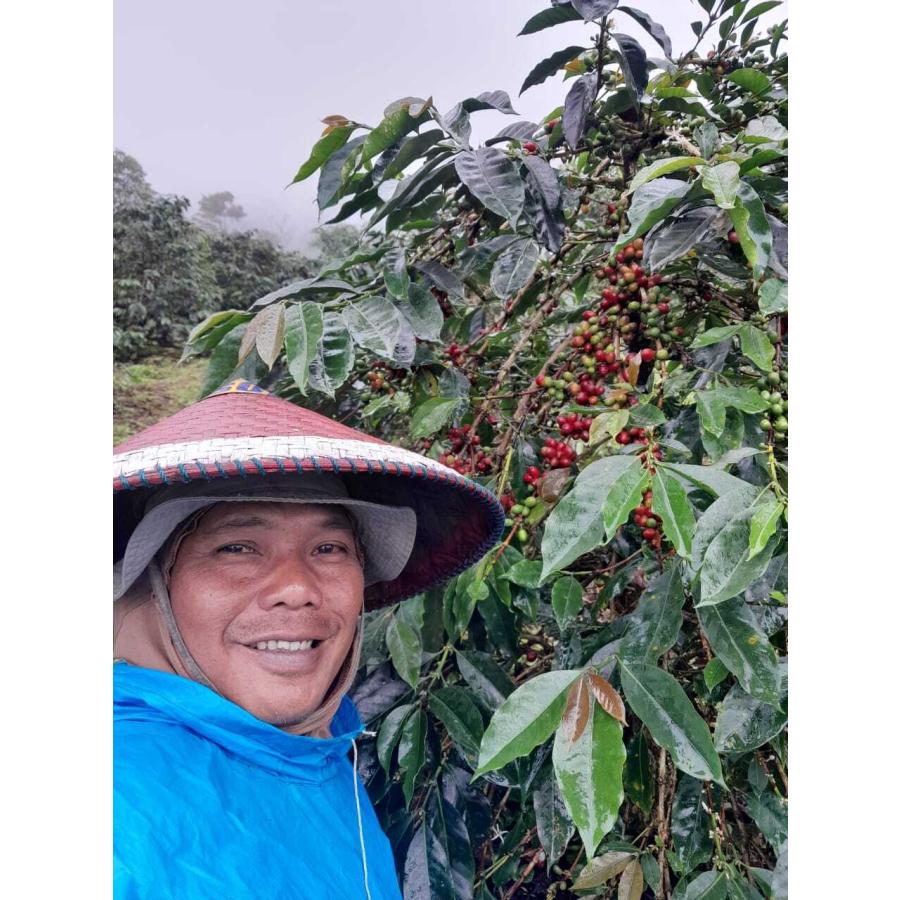コーヒー豆 2kg 受注焙煎！ インドネシア クリンチマウンテン コピ ジェルク スマトラ式 [選べる焙煎度合い] ポイント利用_5