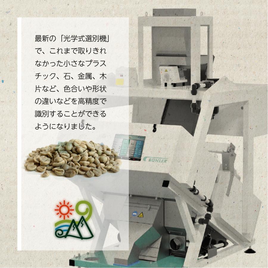 コーヒー 生豆 コスタリカ FSHB ラクティックアナエロビックタラス