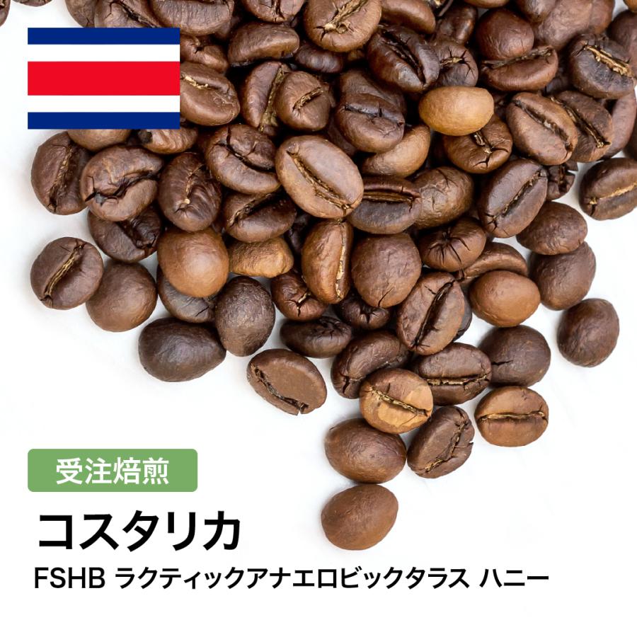 コーヒー 豆 粉 コスタリカ FSHB ラクティックアナエロビックタラス