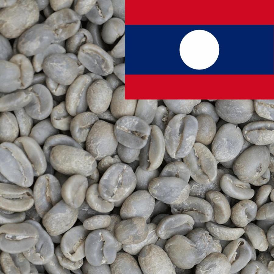 DRIP TRIP 生豆 ラオス ゲイシャ100% ウオッシュド コーヒー 珈琲 1kg