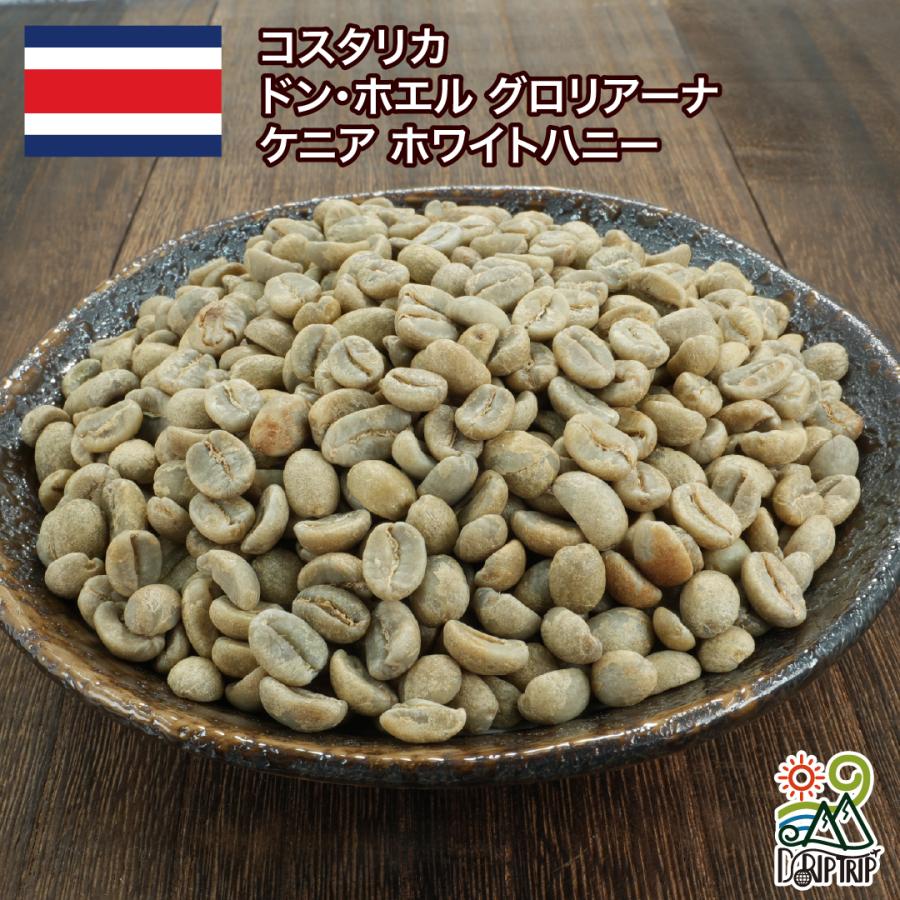 コーヒー 豆 粉 コスタリカ ドン・ホエル グロリアーナ ケニア