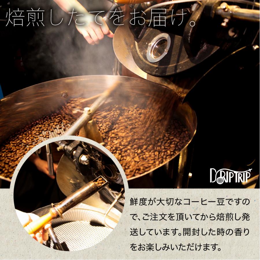 コーヒー 豆 粉 モカ モルドコフ G1 ナチュラル有機栽培 グジ地区