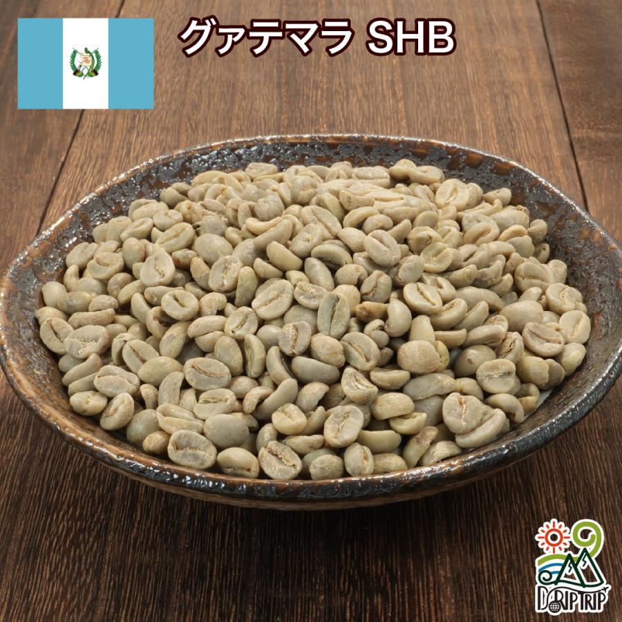コーヒー 生豆 グァテマラ SHB #419 DripTrip 1kg 2kg 5kg 10kg | 