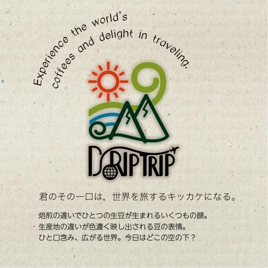 コーヒー 豆 粉 タンザニア AB シャー農園 #440 DripTrip 珈琲 : 300種