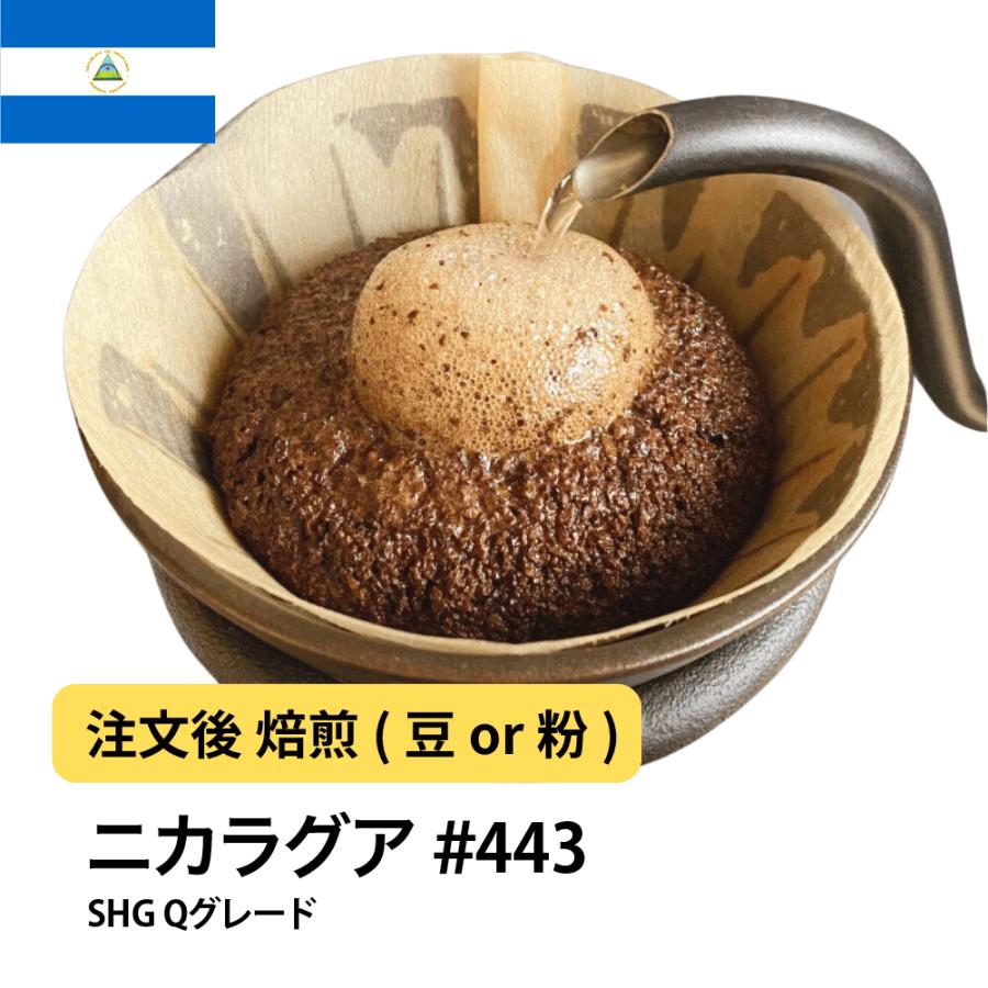 コーヒー 豆 粉 ニカラグア ラ・エストレージャ農園 SHG Qグレード