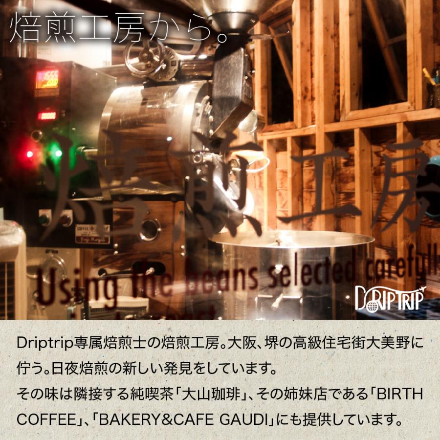 コーヒー 豆 粉 エチオピア ミチュ G4 plus #444 DripTrip 珈琲 : 300