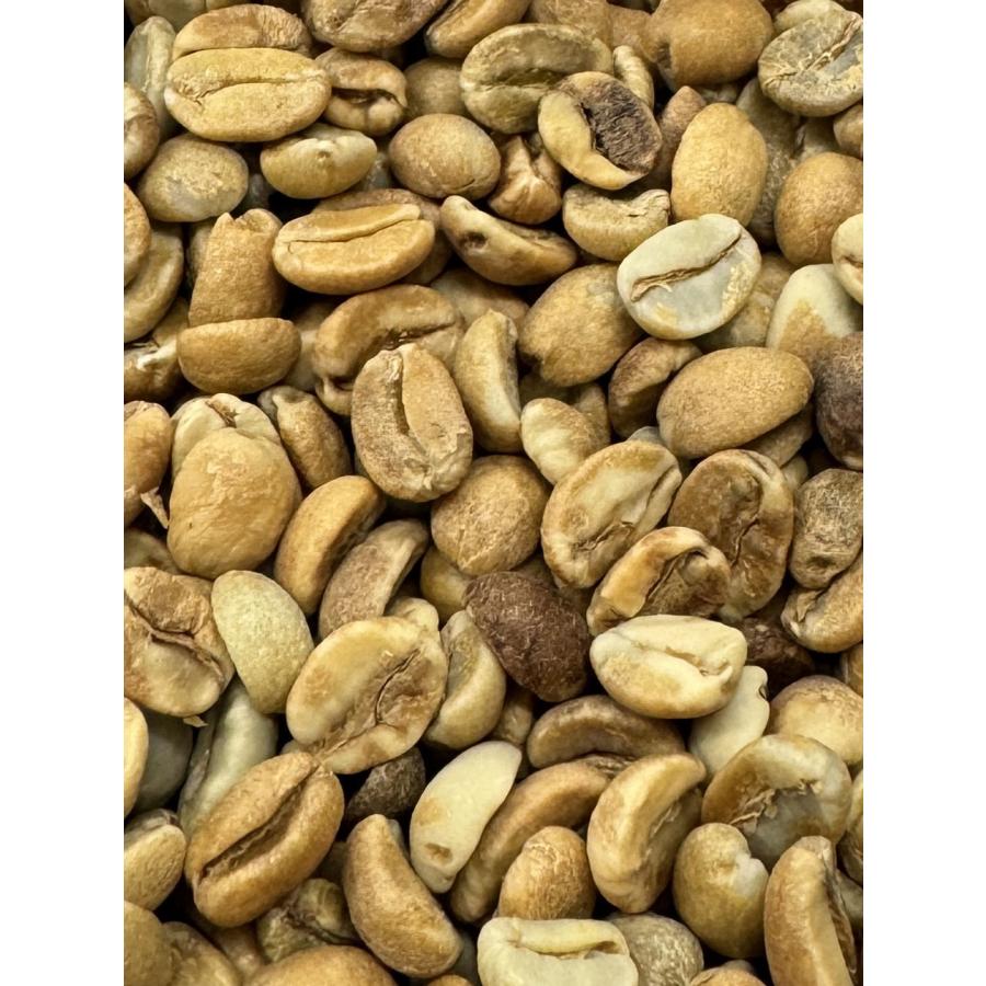 DRIP TRIP 生豆 グァテマラ グアルバドール農園 パーカス アナエロ