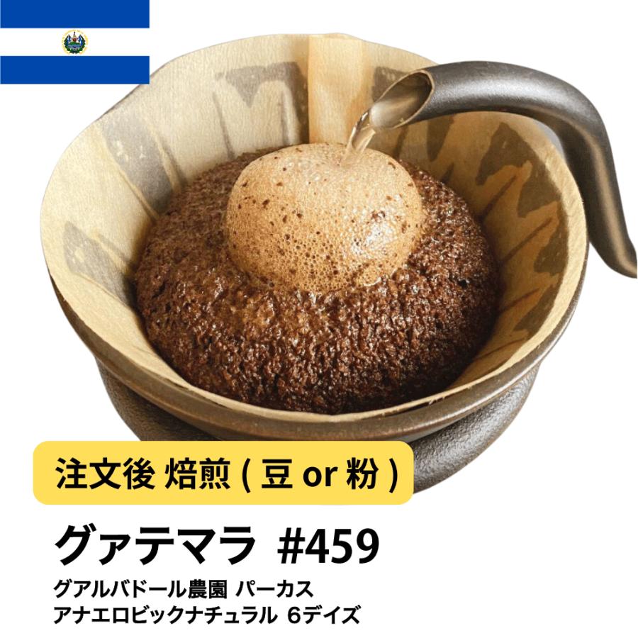 DRIP TRIP グァテマラ グアルバドール農園 パーカス アナエロビック