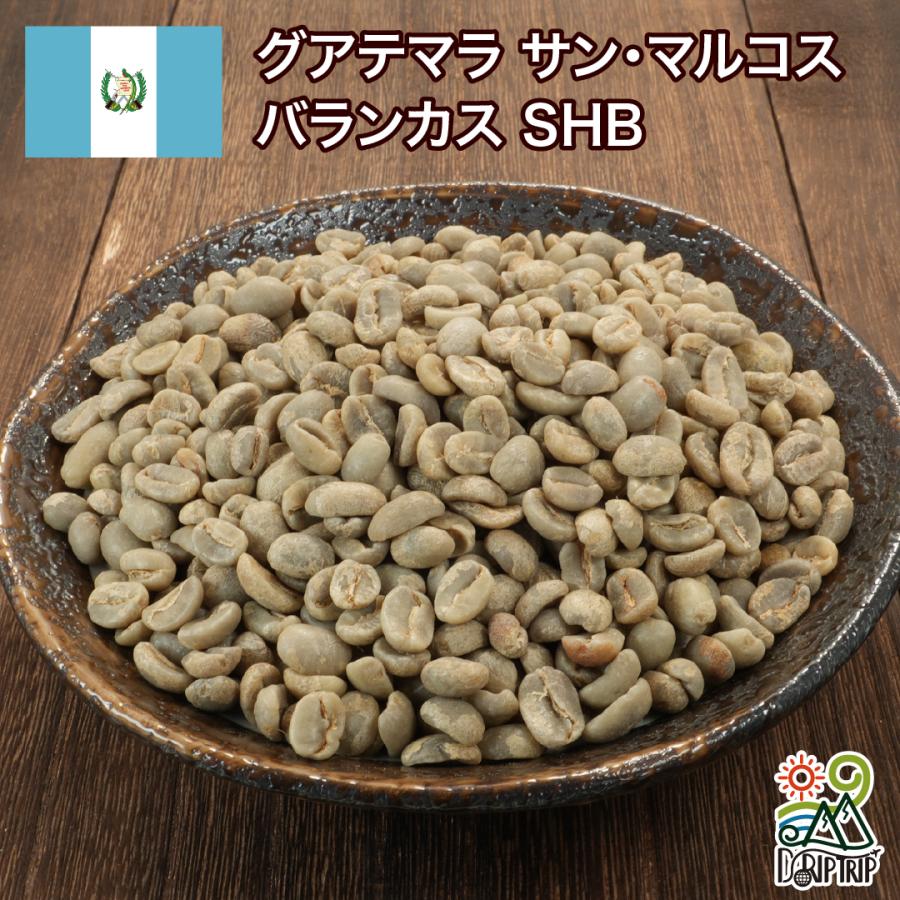 藤3　グアテマラ SHB ウォッシュド スペシャルティコーヒー生豆 4kg コーヒー豆 グアテマラ サン・マルコス バランカス SHB #479 DripTrip